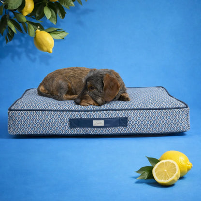 Orthopädisches Hundekissen Santorini von Leopold's Finest in Blau. Das Kissen ist Indoor und Outdoor geeignet. Frontale Ansicht