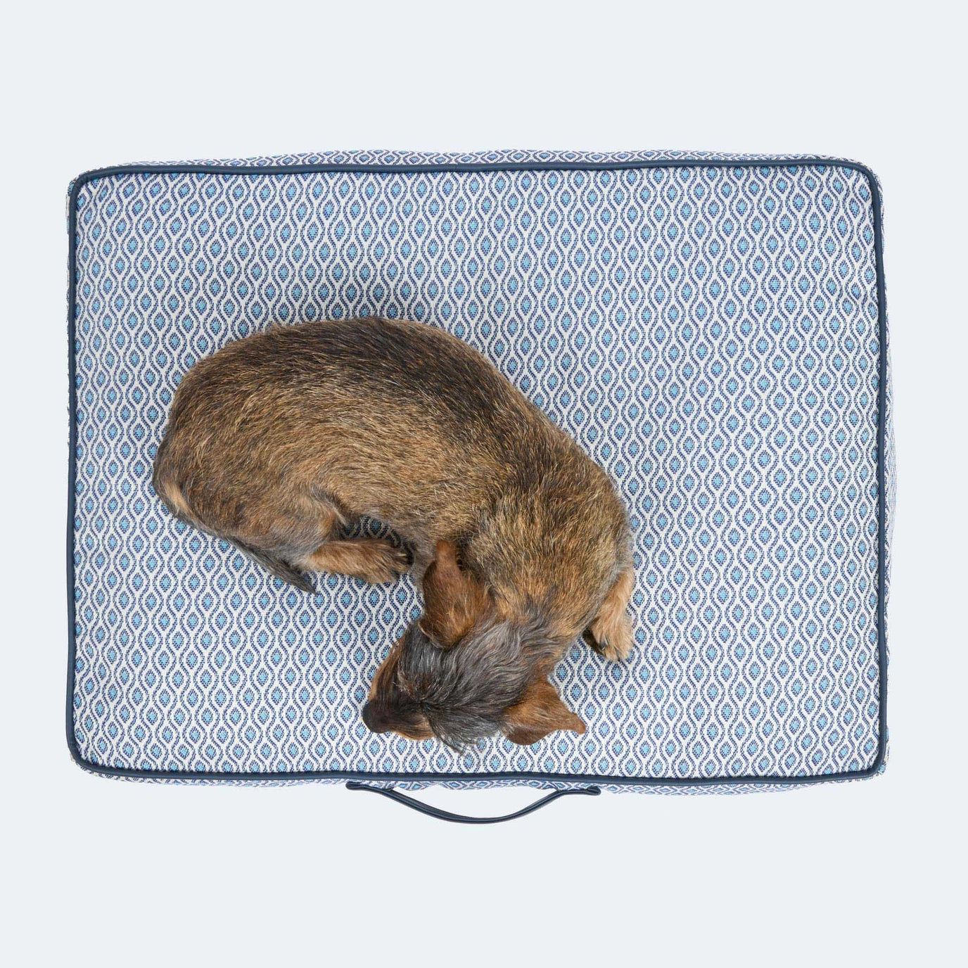 Hund liegt auf orthopädischem Hundekissen Santorini von Leopold's Finest in blau. Das Kissen ist Indoor und Outdoor geeignet.