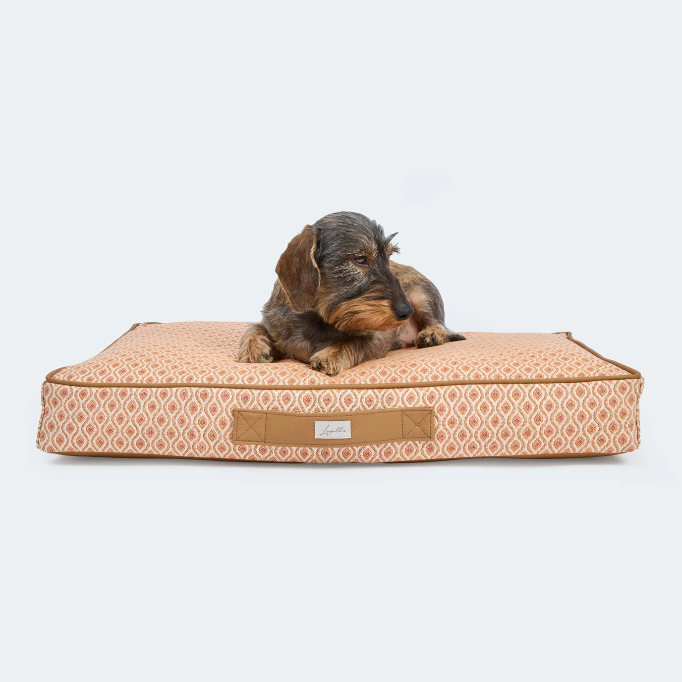 Hund liegt auf orthopädischem Hundekissen Santorini von Leopold's Finest in orange. Das Kissen ist Indoor und Outdoor geeignet.