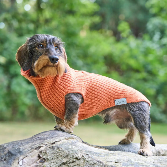 Strickpullover von Leopold’s Finest mit Zopfmuster für Herbst und Winter. Farbe: Orange