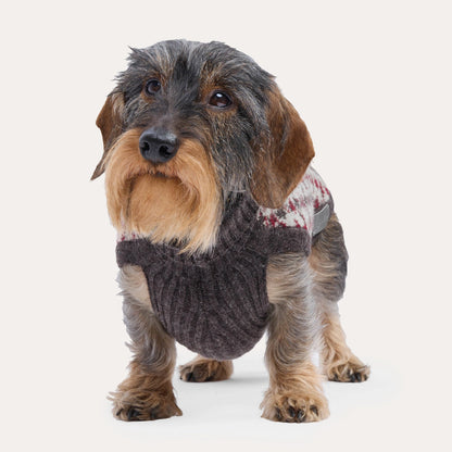 Strickpullover Karo, Winter- und Weihnachtspullover für Dackel & kleine Hunde