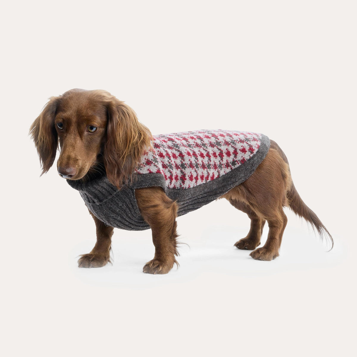 Strickpullover Karo, Winter- und Weihnachtspullover für Dackel & kleine Hunde
