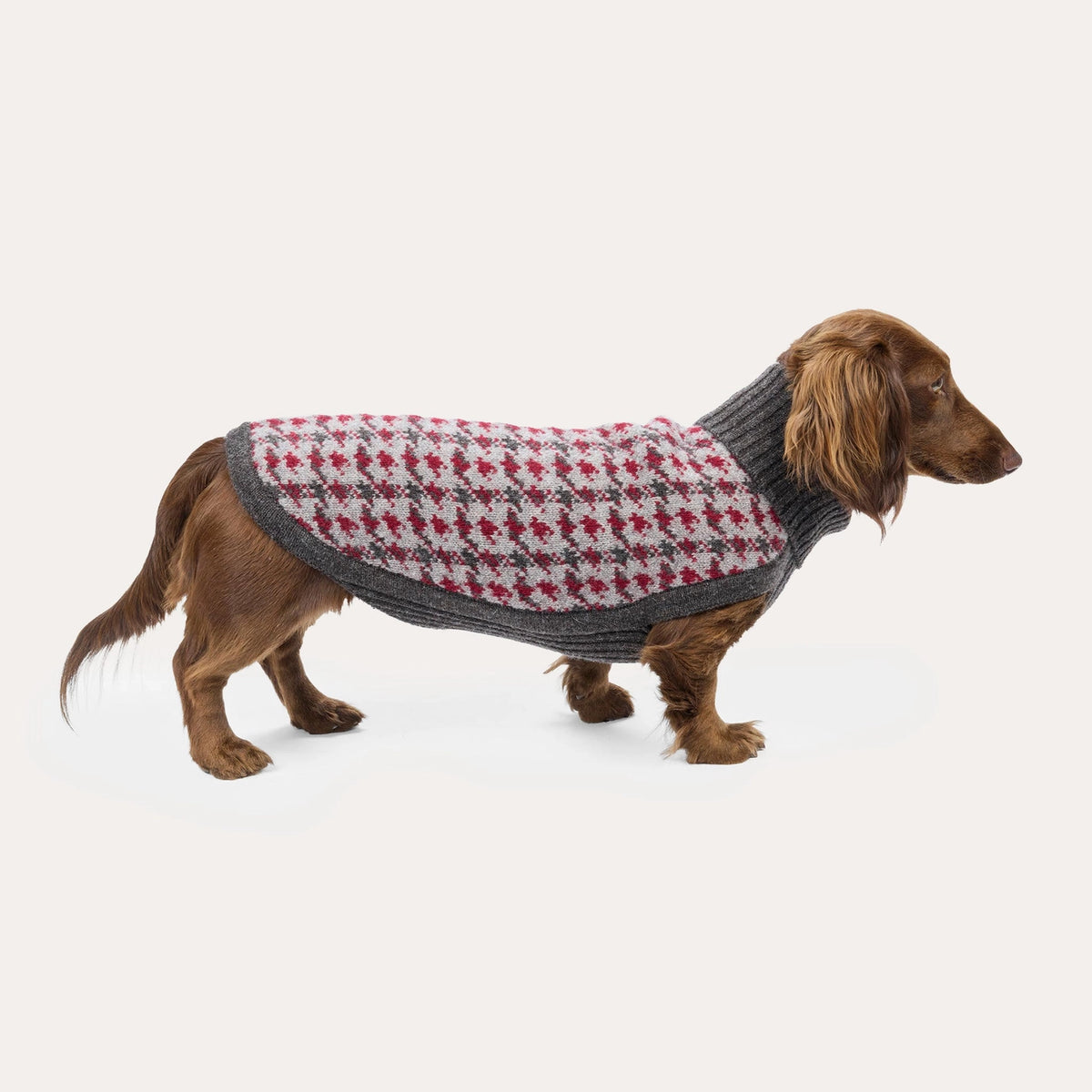 Strickpullover Karo, Winter- und Weihnachtspullover für Dackel & kleine Hunde