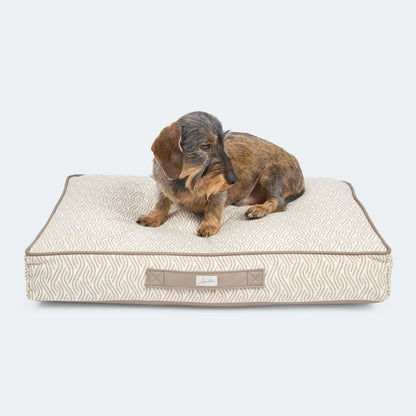 Orthopädisches Hundekissen von Leopolds Finest. Modell Toscana in der Farbe beige. Für Dackel oder kleine Hunde geeignet.