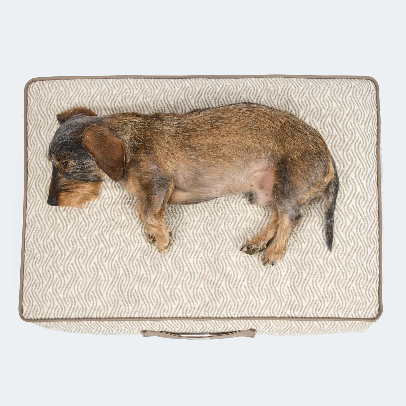 Orthopädisches Hundekissen von Leopolds Finest. Modell Toscana in der Farbe beige. Ideale Länge für Dackel. 