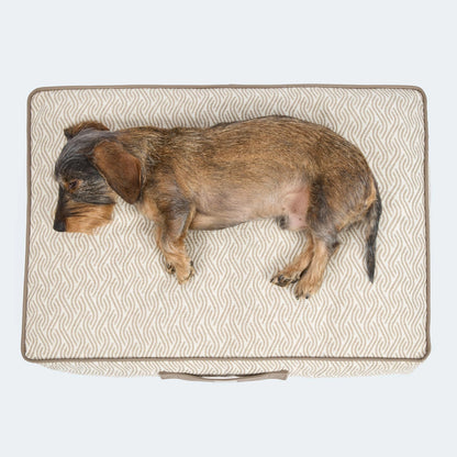 Orthopädisches Hundekissen von Leopolds Finest. Modell Toscana in der Farbe beige. Ideale Länge für Dackel. 