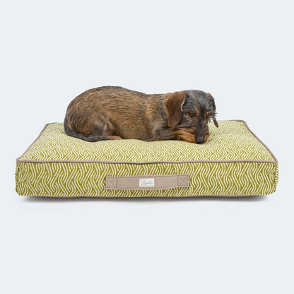 Orthopädisches Hundekissen von Leopolds Finest. Modell Toscana in der Farbe grün. Für Dackel und kleine Hunde geeignet.