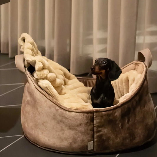 Webpelz Hundedecke Sand