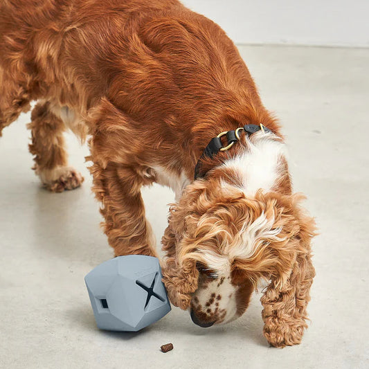Dado - Spielzeug für Hunde