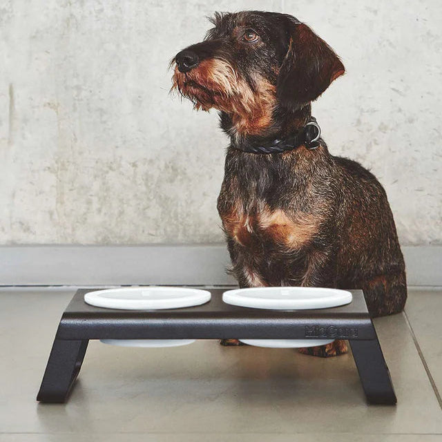 Desco Futterstation – Aluminiumständer mit Porzellannäpfen