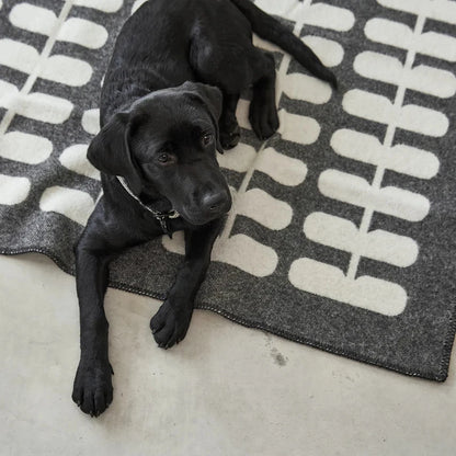 Flora - Hundedecke aus 100% Wolle