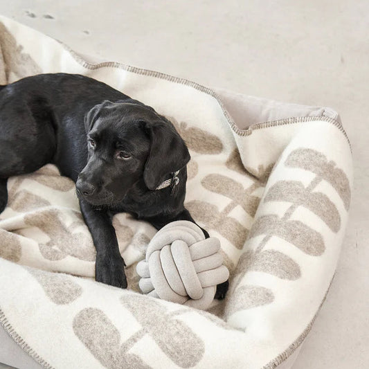Flora - Hundedecke aus 100% Wolle