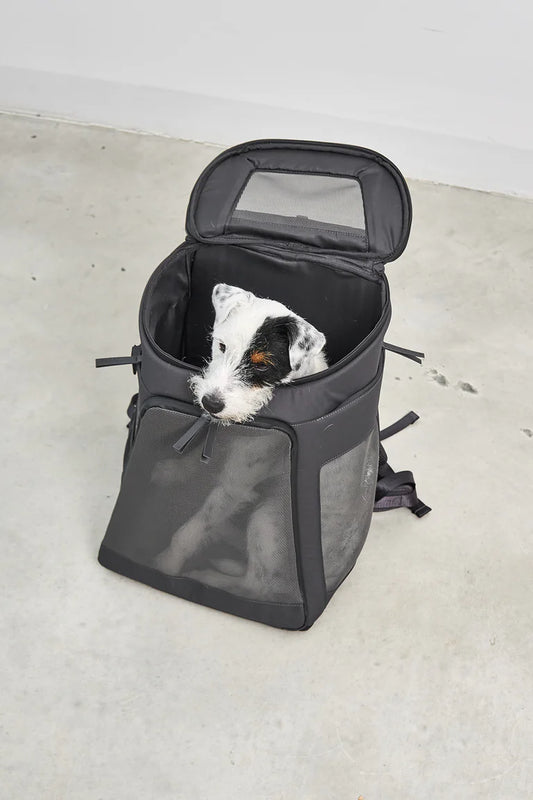 Der bequeme Zaino Hunderucksack perfekt für aktive Hundebesitzer. Aus robustem Polyester.