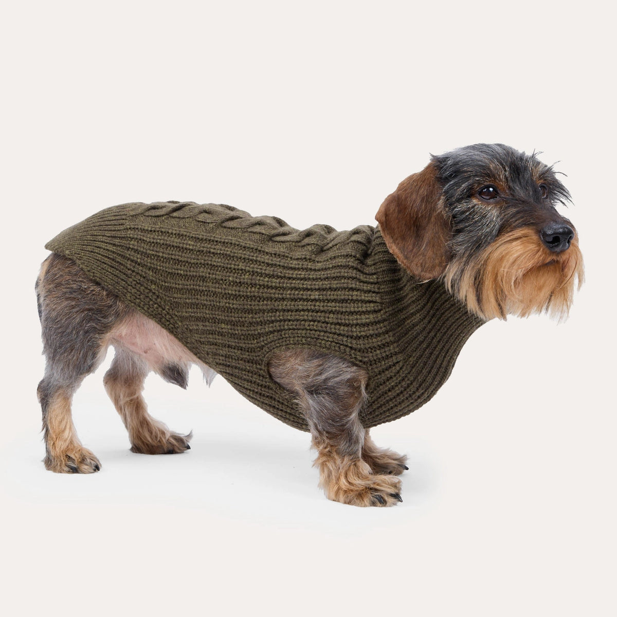 Strickpullover aus Merinowolle in verschiedenen Farben