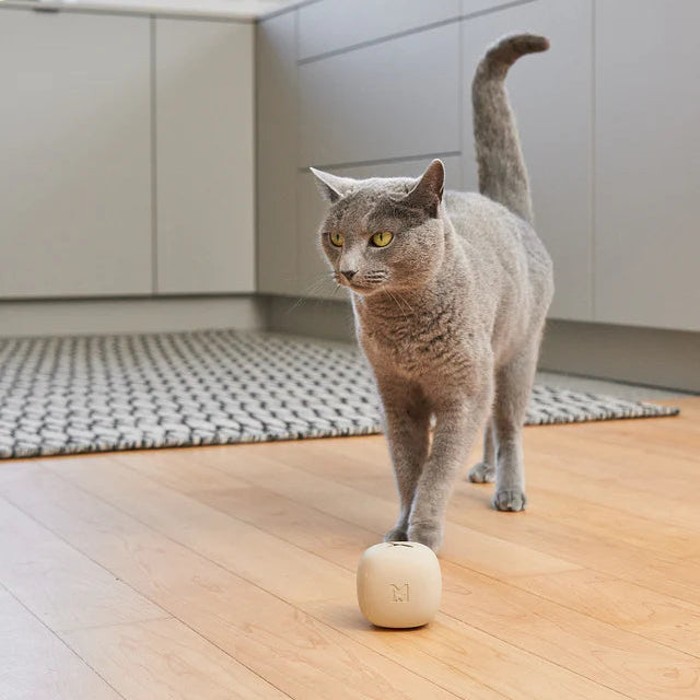 Rotolo Beschäftigungsspielzeug