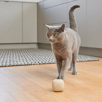 Rotolo Beschäftigungsspielzeug