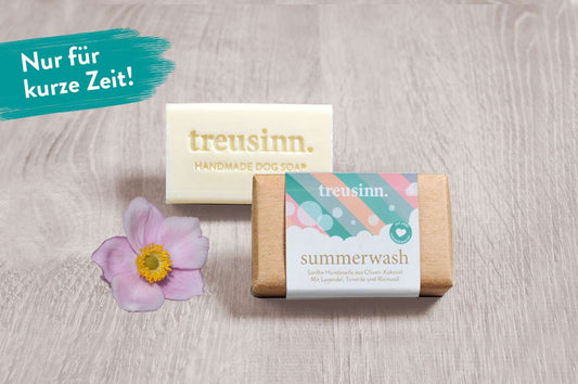 Hundeseife starkes Stück Summer Wash