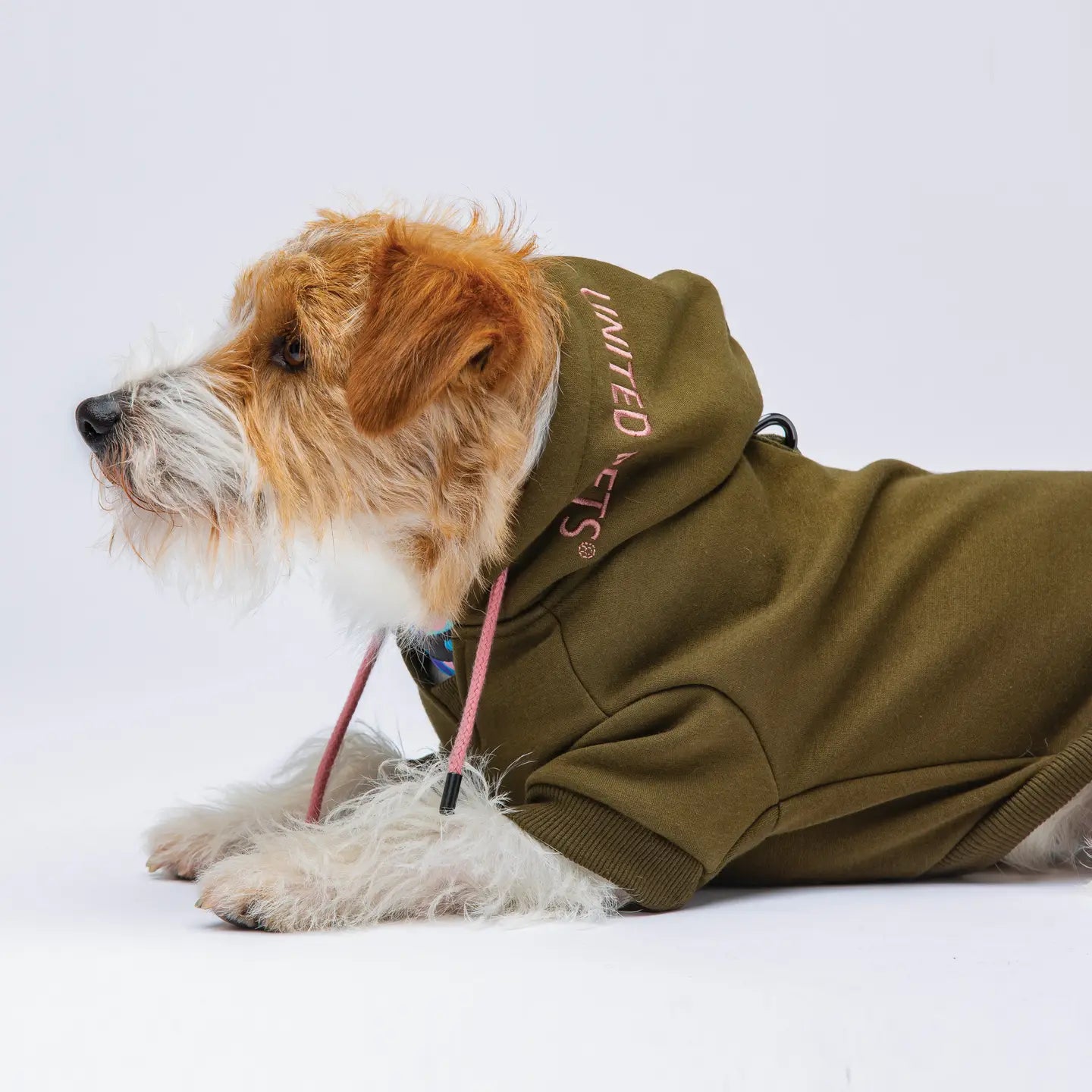 Hund mit Sweatpullover namens Bull vom Hersteller United Pets. Farbe: Oliv-Rosa. 