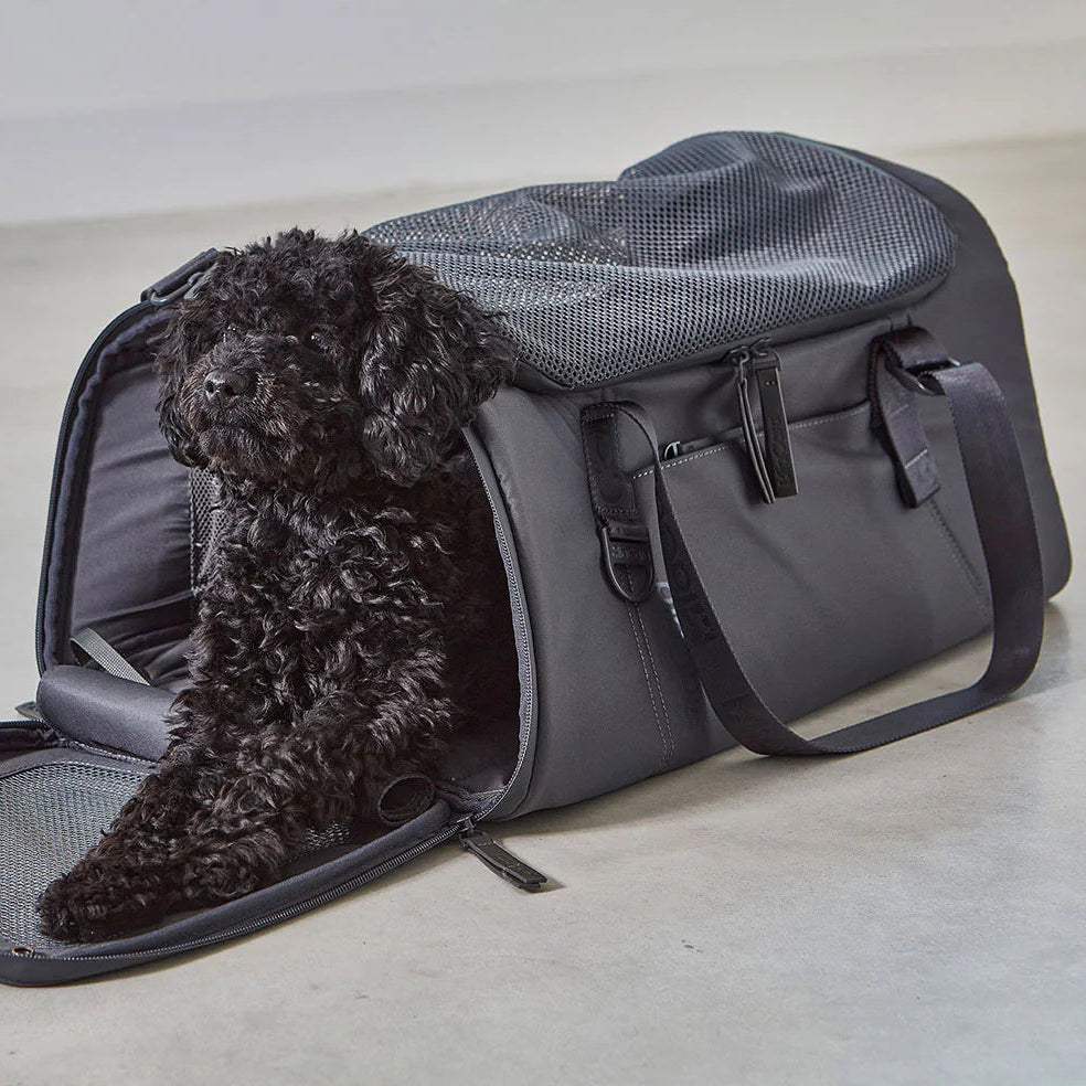 Volata Reisetasche – Stilvoll reisen mit Hund