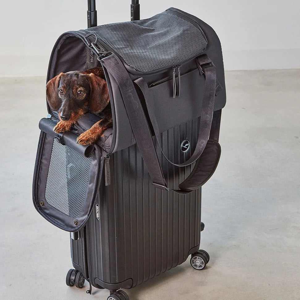 Volata Reisetasche – Stilvoll reisen mit Hund