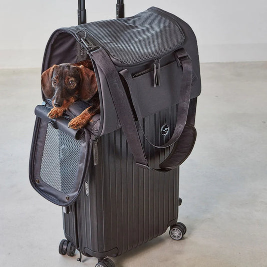 Volata Reisetasche – Stilvoll reisen mit Hund