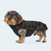 Hundemantel Windbreaker Camouflage dunkelgrün